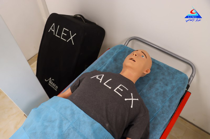 Alex the Patient Communication Simulator
