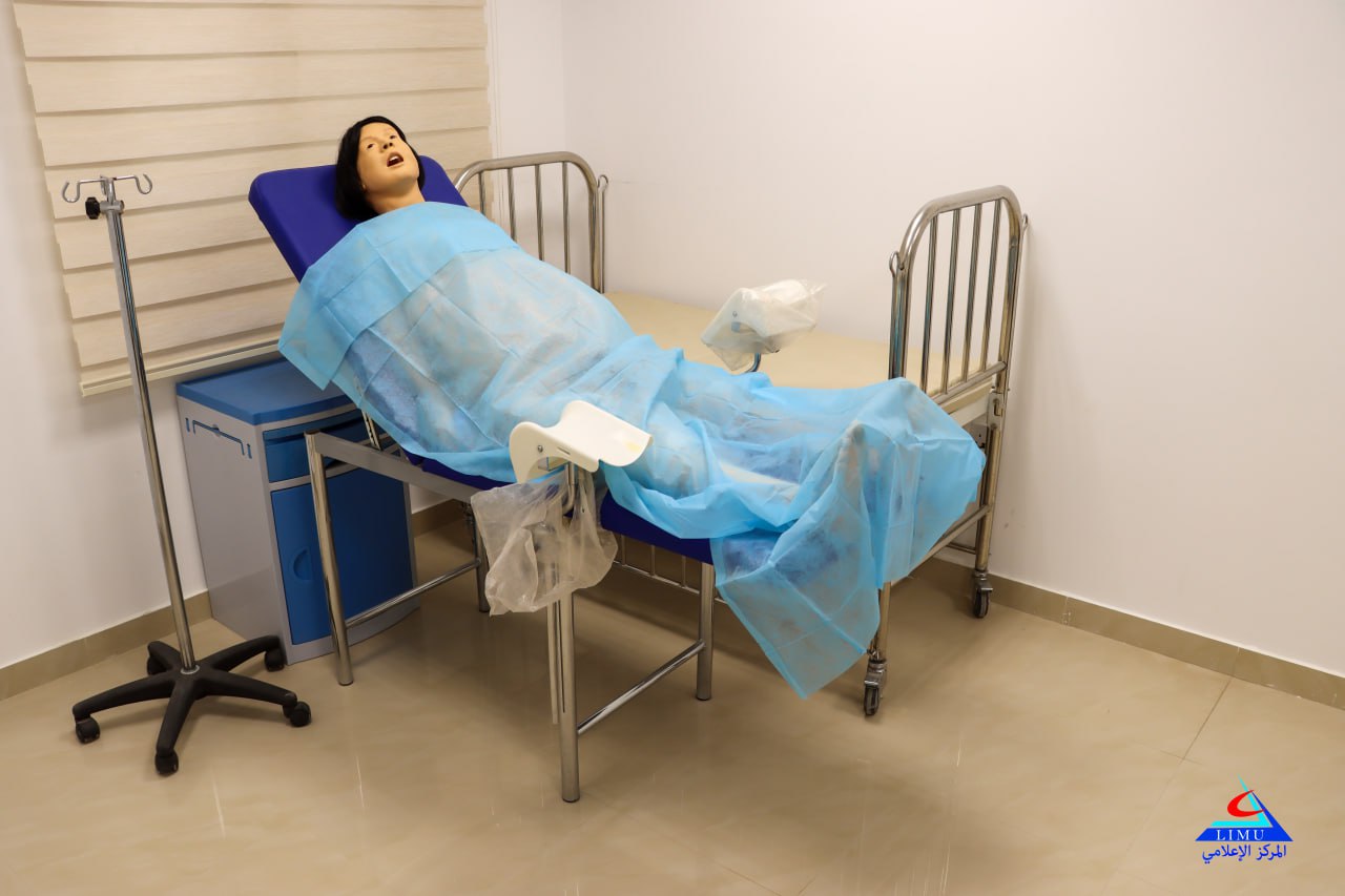 Lucy Maternal and Neonatal Birthing Simulator